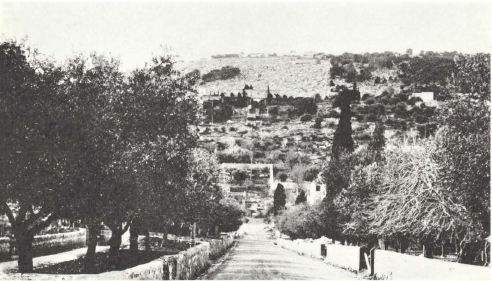 Another view of the Sacred Shrine as seen from the main street of Haifa leading up to the terraces below the Tomb.
